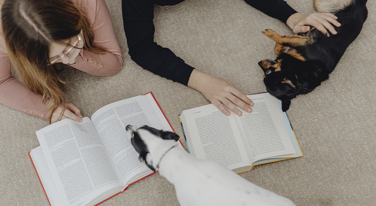 books and dogs